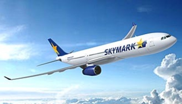 スカイマーク에 대한 이미지 검색결과