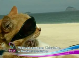 sub-buzz-19316-1517234438-1-png