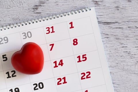 Image result for 妊娠初期