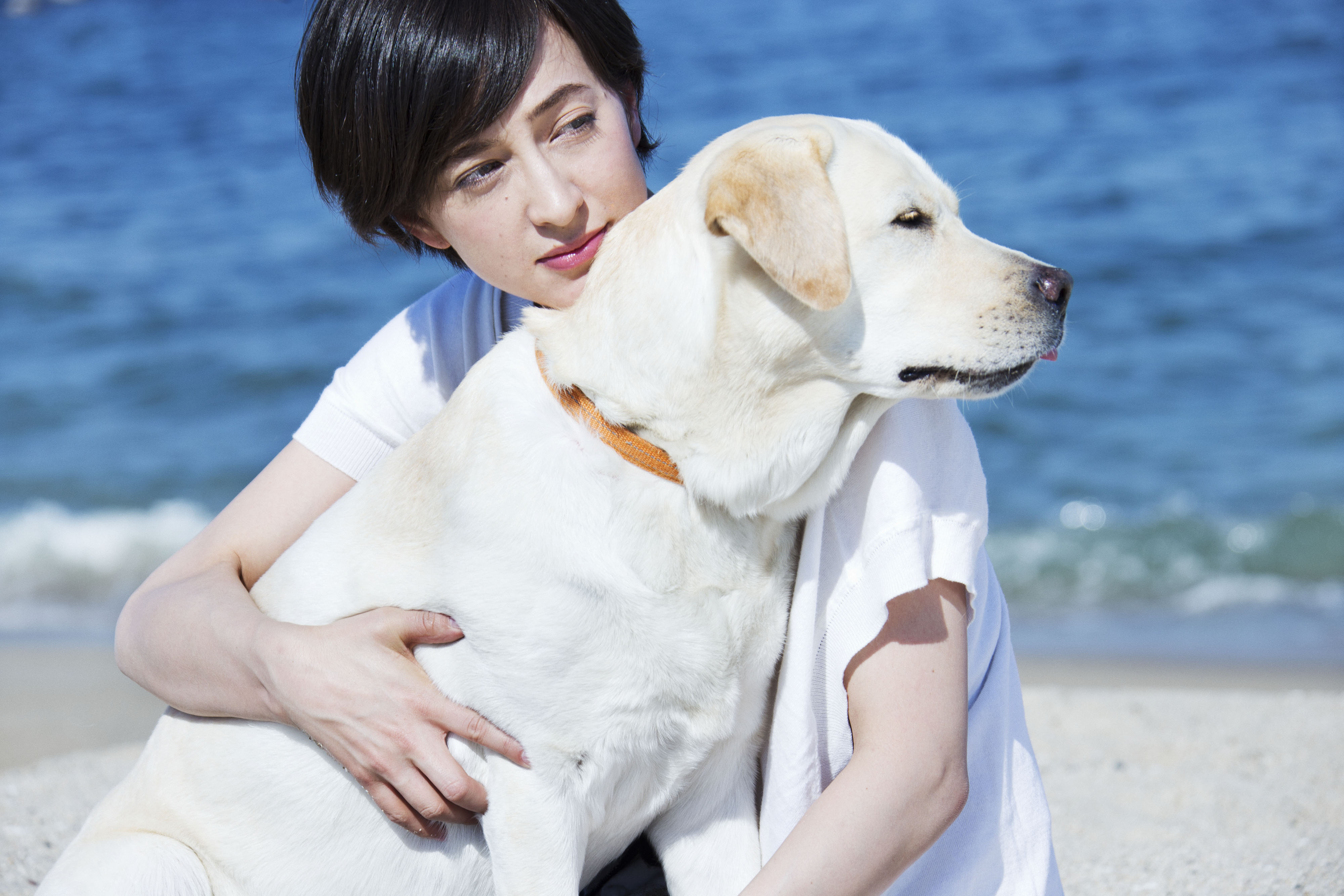 滝川クリステル ニ動物保護支援에 대한 이미지 검색결과