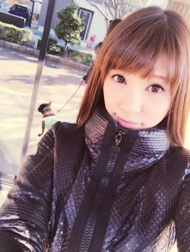 이미지 검색결과