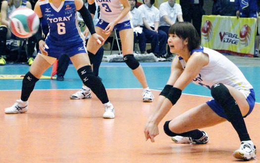 이미지 검색결과