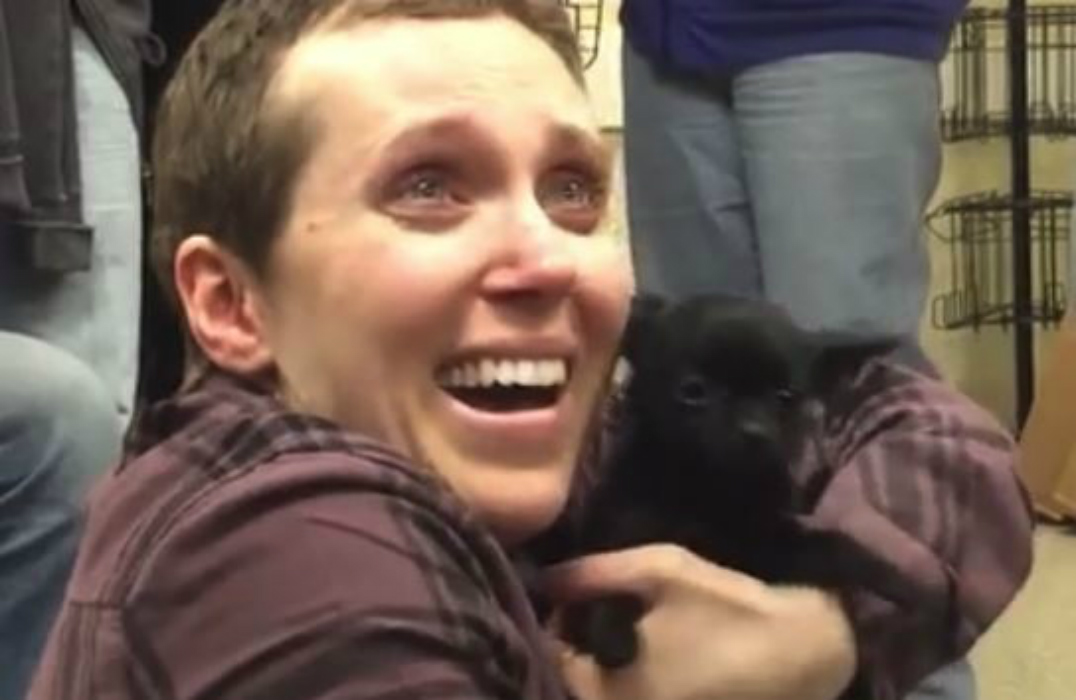 mulhercancerpuppies-main-image