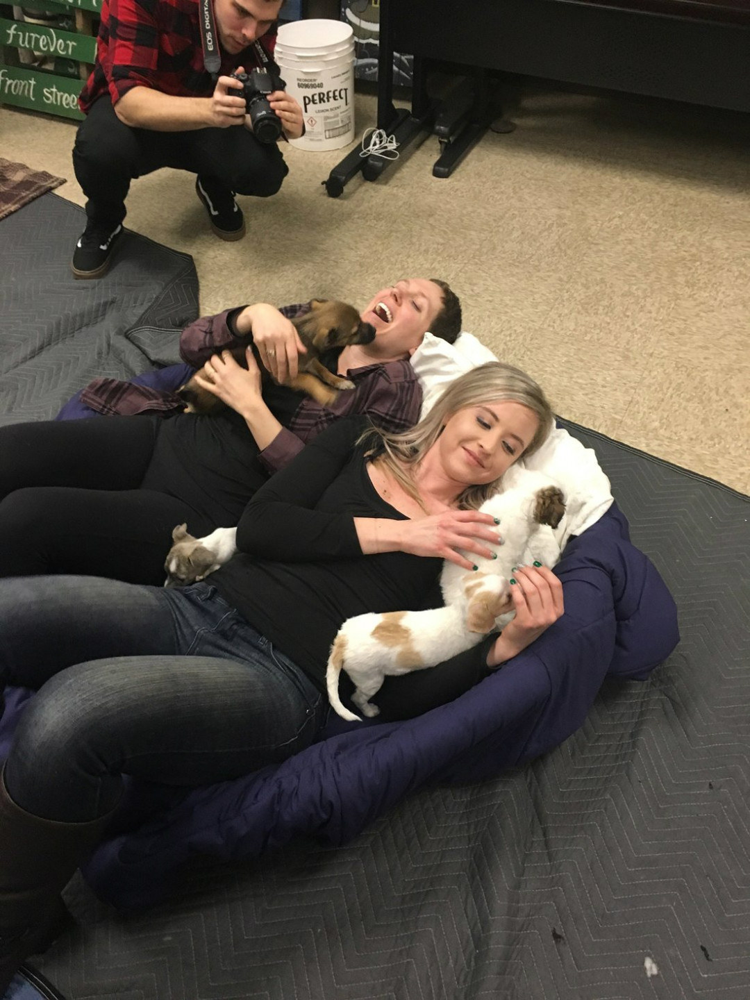 mulhercancerpuppies2-540x7202x