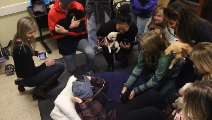 mulhercancerpuppies3-720x408