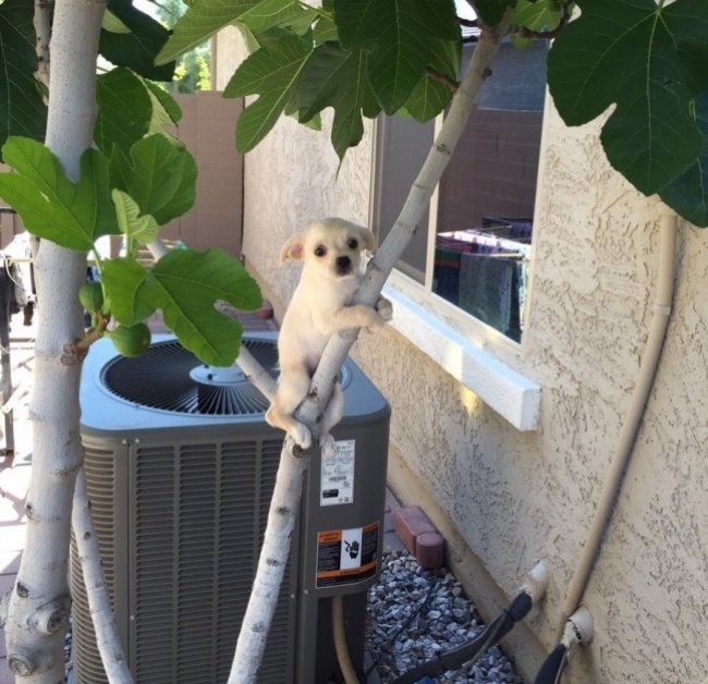 paranoidbillionaire/reddit