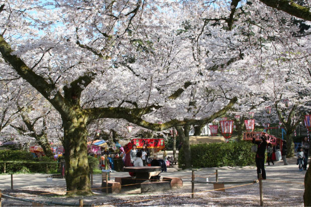 倉吉春まつり에 대한 이미지 검색결과