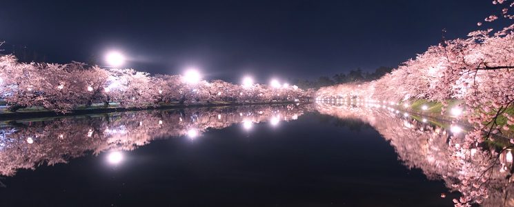 弘前さくらまつり에 대한 이미지 검색결과