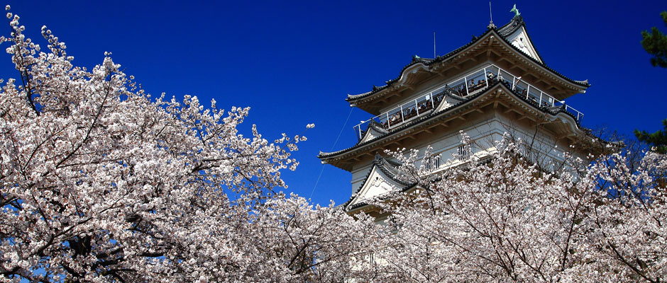 デートスポットにおすすめのお花見イベント15選まとめ Hachibachi デートスポットにおすすめのお花見イベント15選まとめ Hachibachi