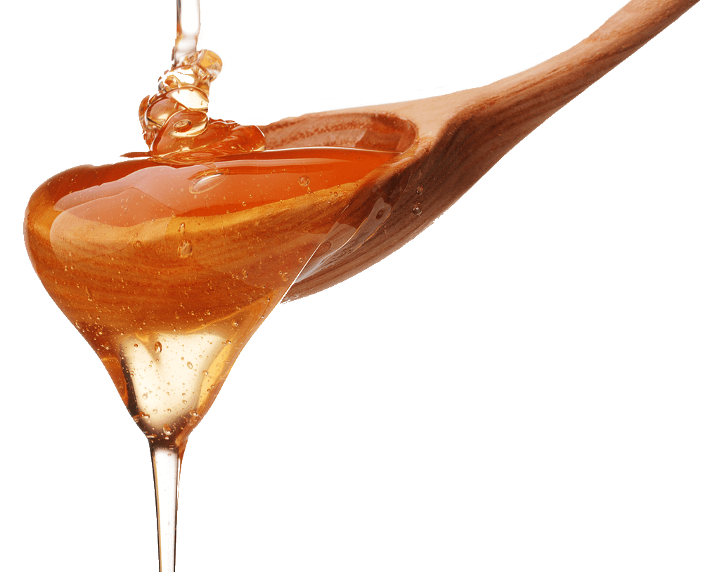 Resultado de imagem para mel