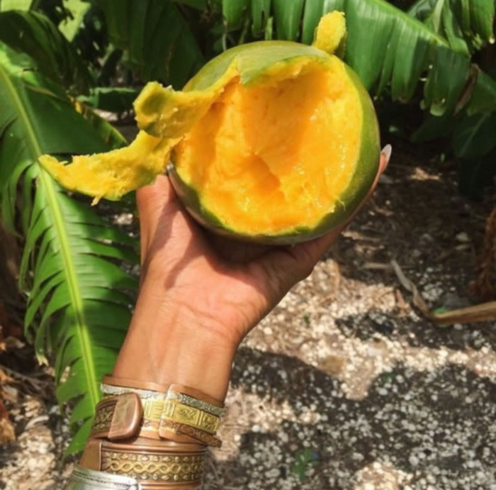 완벽주의자의 눈으로 보는 이해할 수 없는 상황들 2편