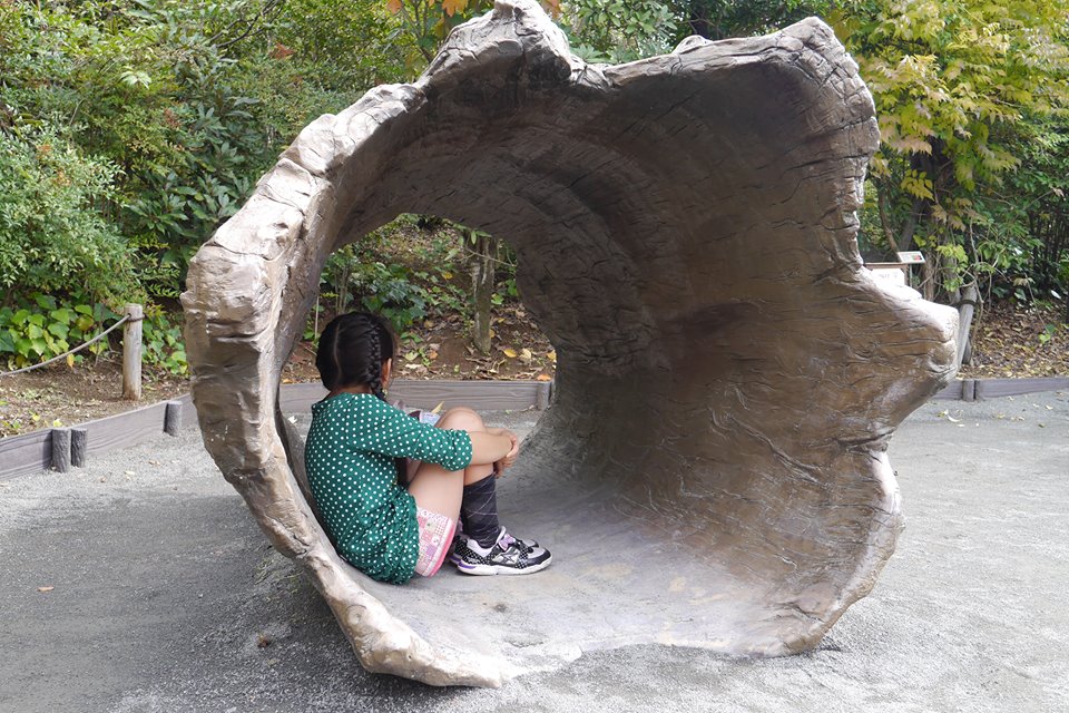 Image result for å®¶åºå°å¥³