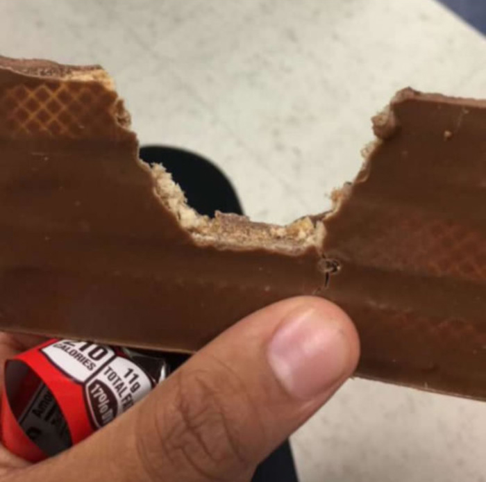 완벽주의자의 눈으로 보는 이해할 수 없는 상황들 2편