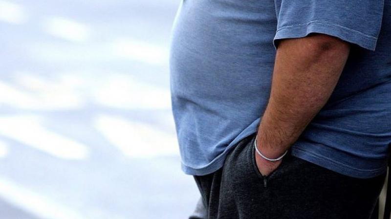 fat pixabayì ëí ì´ë¯¸ì§ ê²ìê²°ê³¼