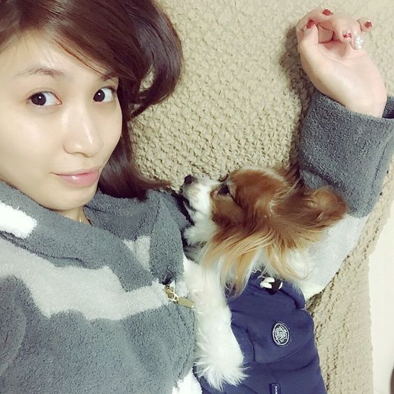 大島麻衣 すっぴん에 대한 이미지 검색결과