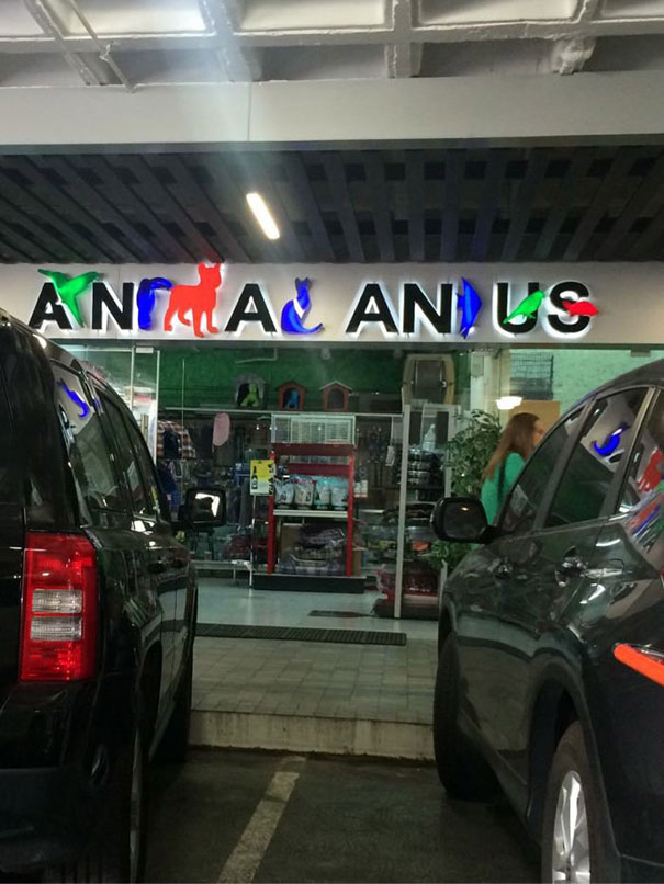 This Pet Shop Sign This Pet Shop Sign