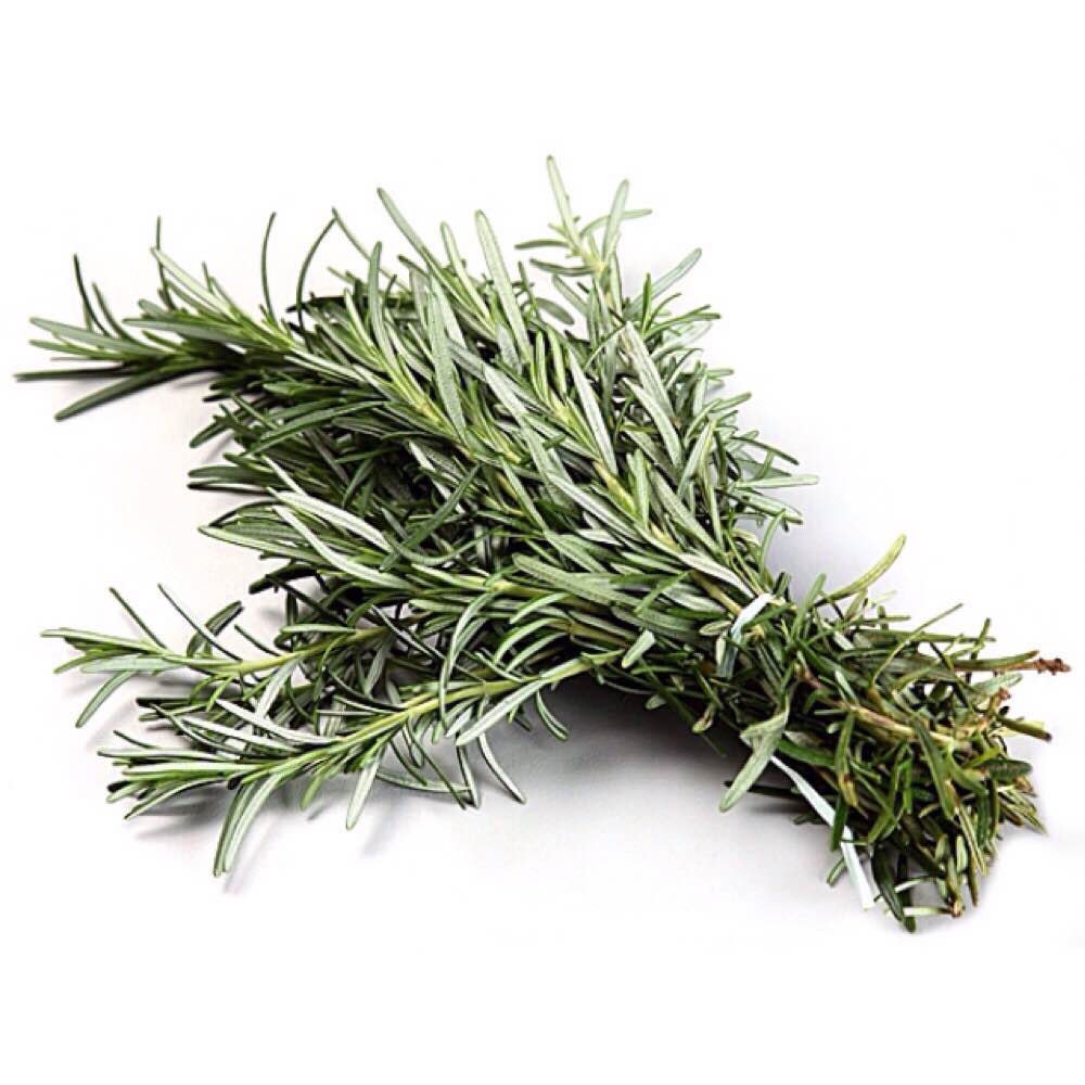 Resultado de imagem para alecrim