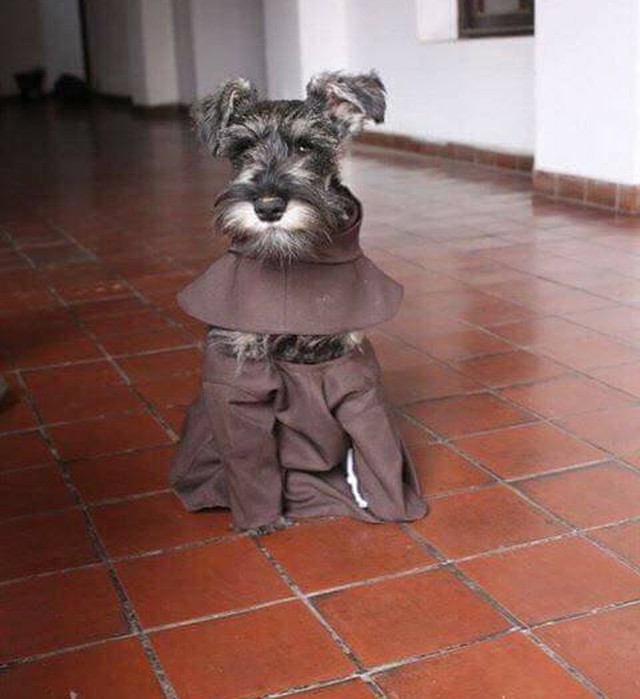 bigoton1