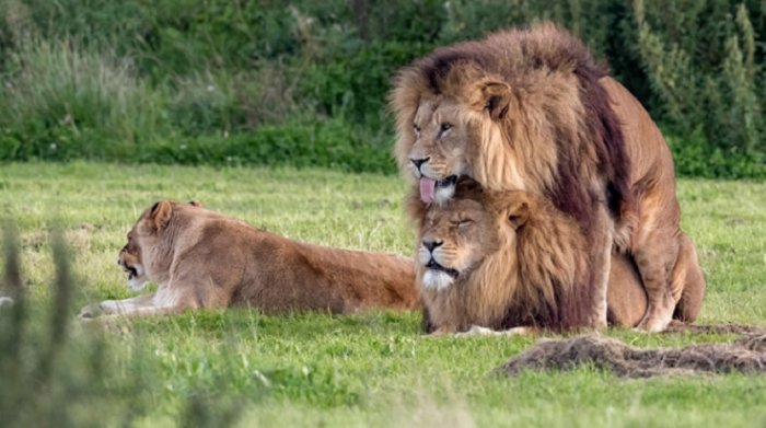 e38587e38587 - "ê²ì´ ì¬ìì ì ì íì í¬ì°©" ì¬ëì ëëê³ ìë ì«ì¬ì 커í (ìì)