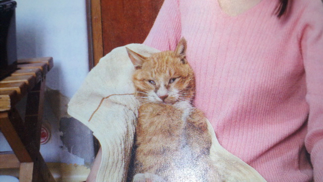 ì§ ëê° ê³ ìì´ê° 5ë ë§ì ìì§ìì ë°ê²¬ëë¤ì ëí ì´ë¯¸ì§ ê²ìê²°ê³¼