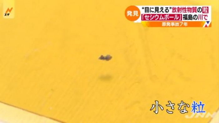 TBS텔레비젼 방송 화면 캡쳐