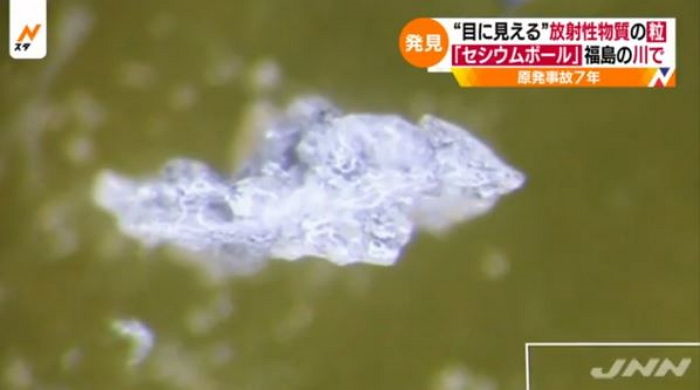 TBS텔레비젼 방송 화면 캡쳐