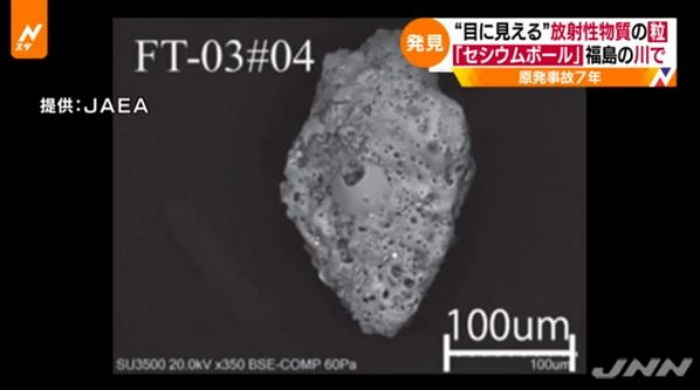 TBS텔레비젼 방송 화면 캡쳐