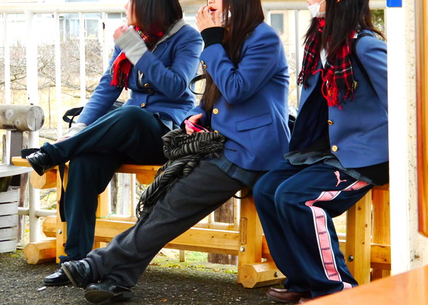 Image result for ミニスカートの下にジャージ