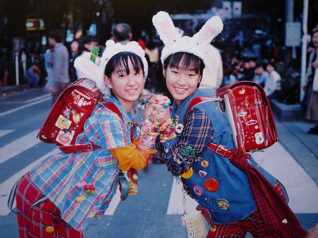 Image result for シノラー