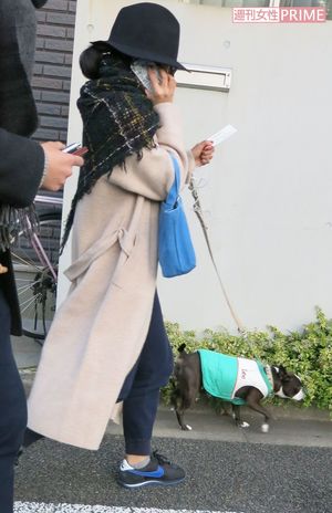 井上真央 移籍에 대한 이미지 검색결과