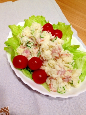 å¡©ãã¿å°æ¾èã®ããããµã©ãì ëí ì´ë¯¸ì§ ê²ìê²°ê³¼