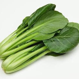 å°æ¾èì ëí ì´ë¯¸ì§ ê²ìê²°ê³¼