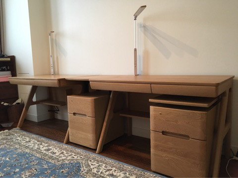 Image result for 海老蔵 机