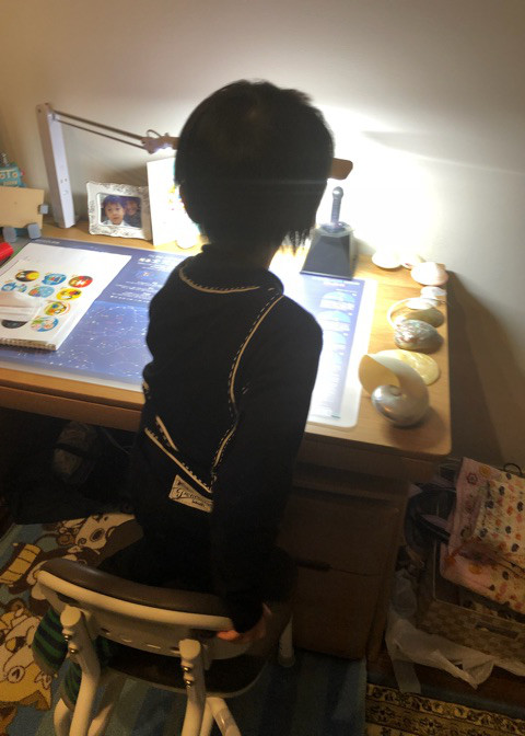 Image result for 海老蔵 机