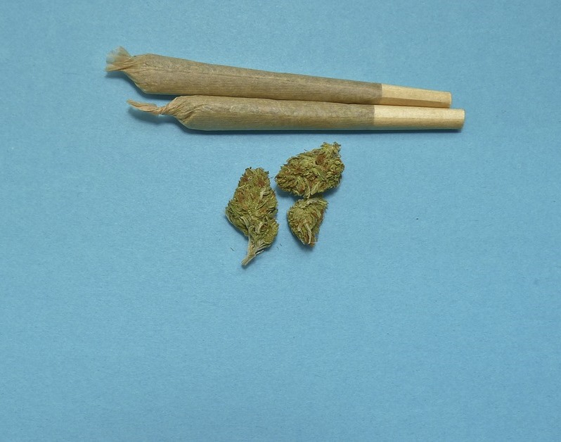 maconha2