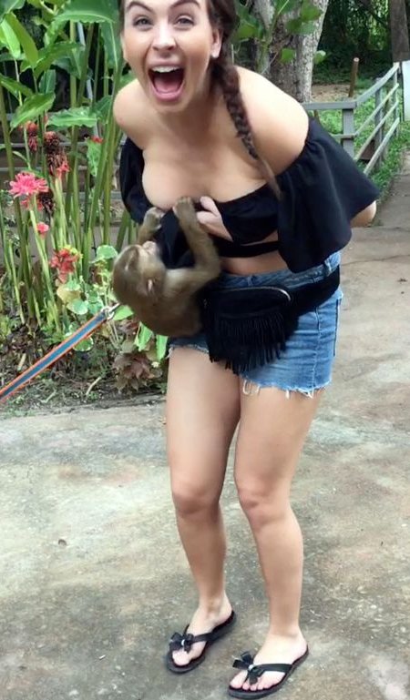 20180319172328 PAY MONKEY PULLS TOP DOWN - í ì¬ì± ê´ê´ê°ì 