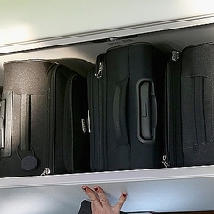 Image result for ユナイテッド航空機内 子犬