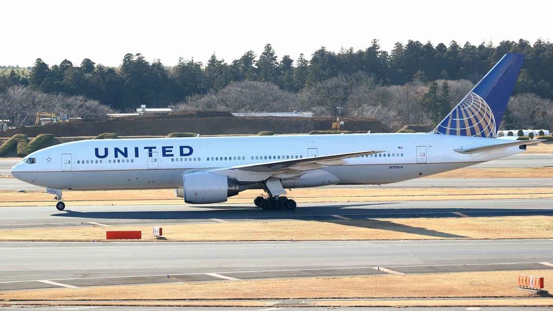 Image result for ユナイテッド航空機内 子犬