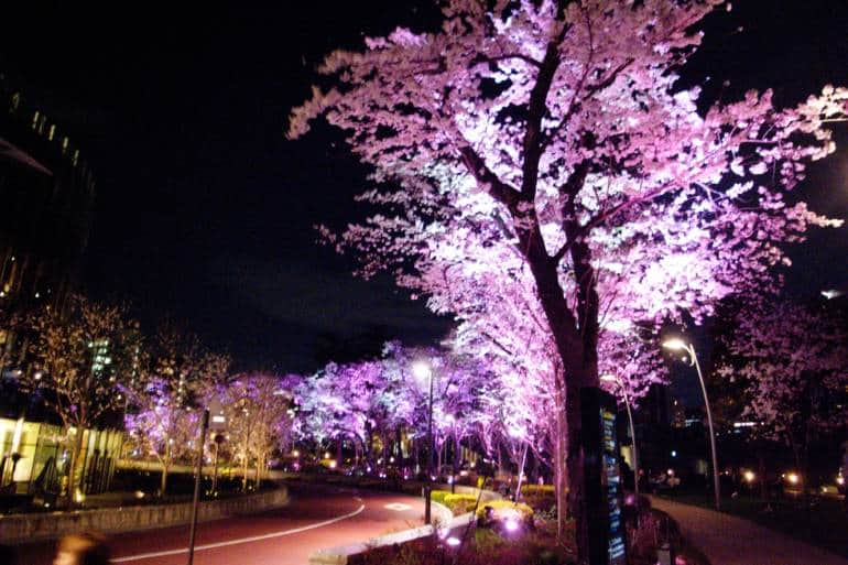 MIDTOWN BLOSSOM 2018에 대한 이미지 검색결과