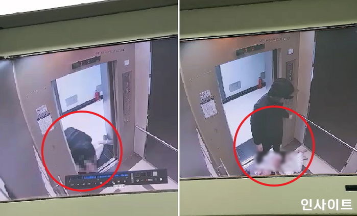 인사이트