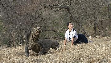 Image result for イモトアヤコ コモドドラゴン