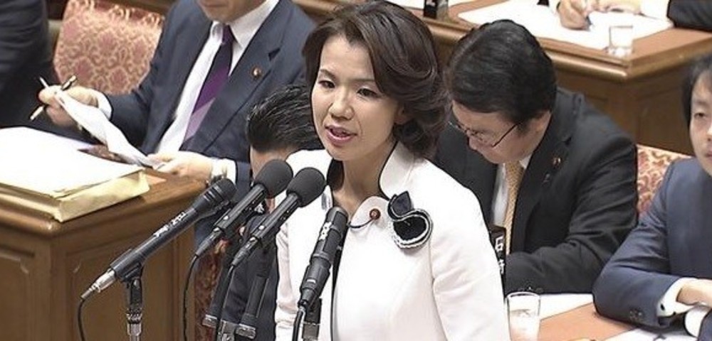 富田真由子　暴言에 대한 이미지 검색결과