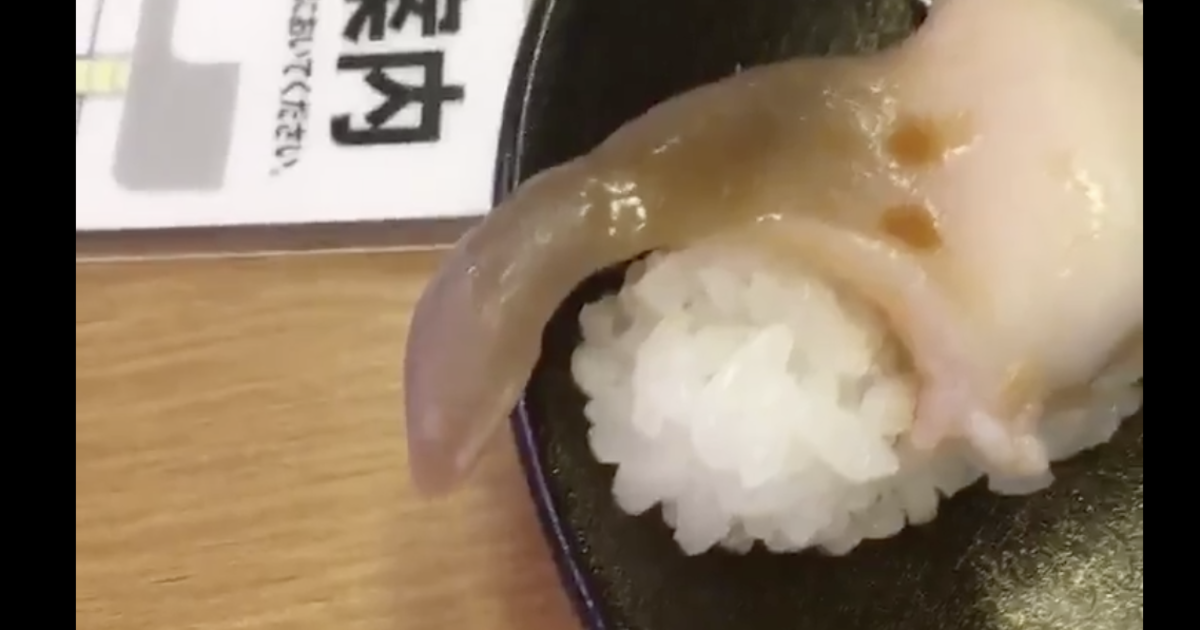 ì´ë°¥ì ë¨¹ì¼ë ¤ê³  íëë, ì¡°ê°ê° ìì§ì´ê¸° ììíë¤ì ëí ì´ë¯¸ì§ ê²ìê²°ê³¼