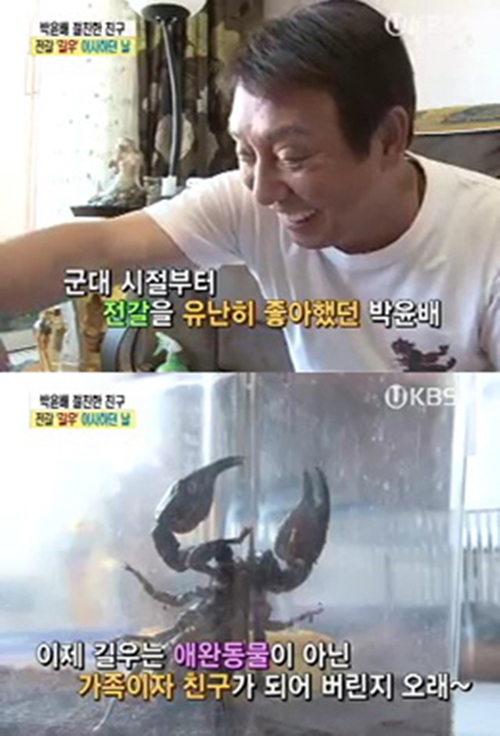 여유만만 박윤배 전갈에 대한 이미지 검색결과