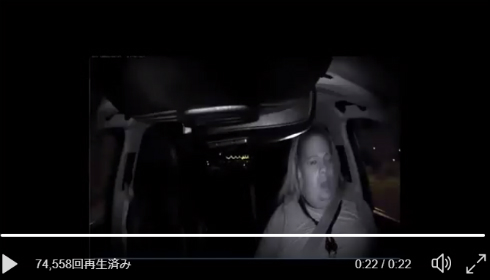 Image result for uber 死亡事故