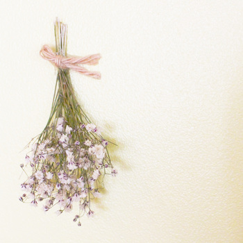 ãã©ã¤ãã©ã¯ã¼ãã«ã¹ãã½ã¦ì ëí ì´ë¯¸ì§ ê²ìê²°ê³¼