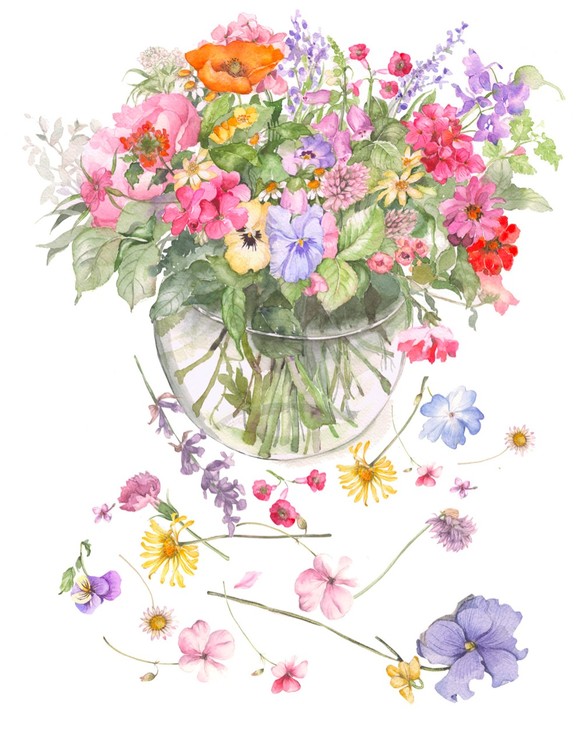 æ°´å½©ç»ãè±ì ëí ì´ë¯¸ì§ ê²ìê²°ê³¼