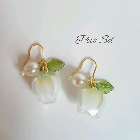 ãã©ãã³ì ëí ì´ë¯¸ì§ ê²ìê²°ê³¼