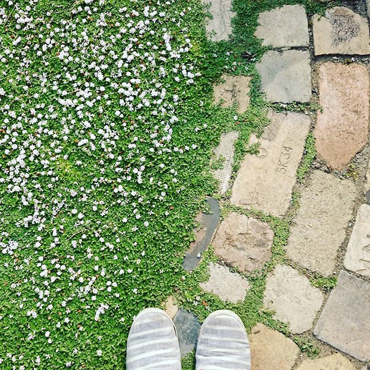 ããã¥ã©ã«ã¬ã¼ããã³ã°ãã¤ã¯ãã¬ã½ã¦ãì ëí ì´ë¯¸ì§ ê²ìê²°ê³¼