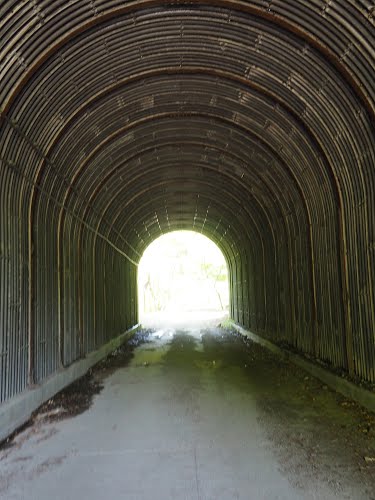 ã¦ã¼ã·ã³æ¸è°·ãå¢é§éì ëí ì´ë¯¸ì§ ê²ìê²°ê³¼